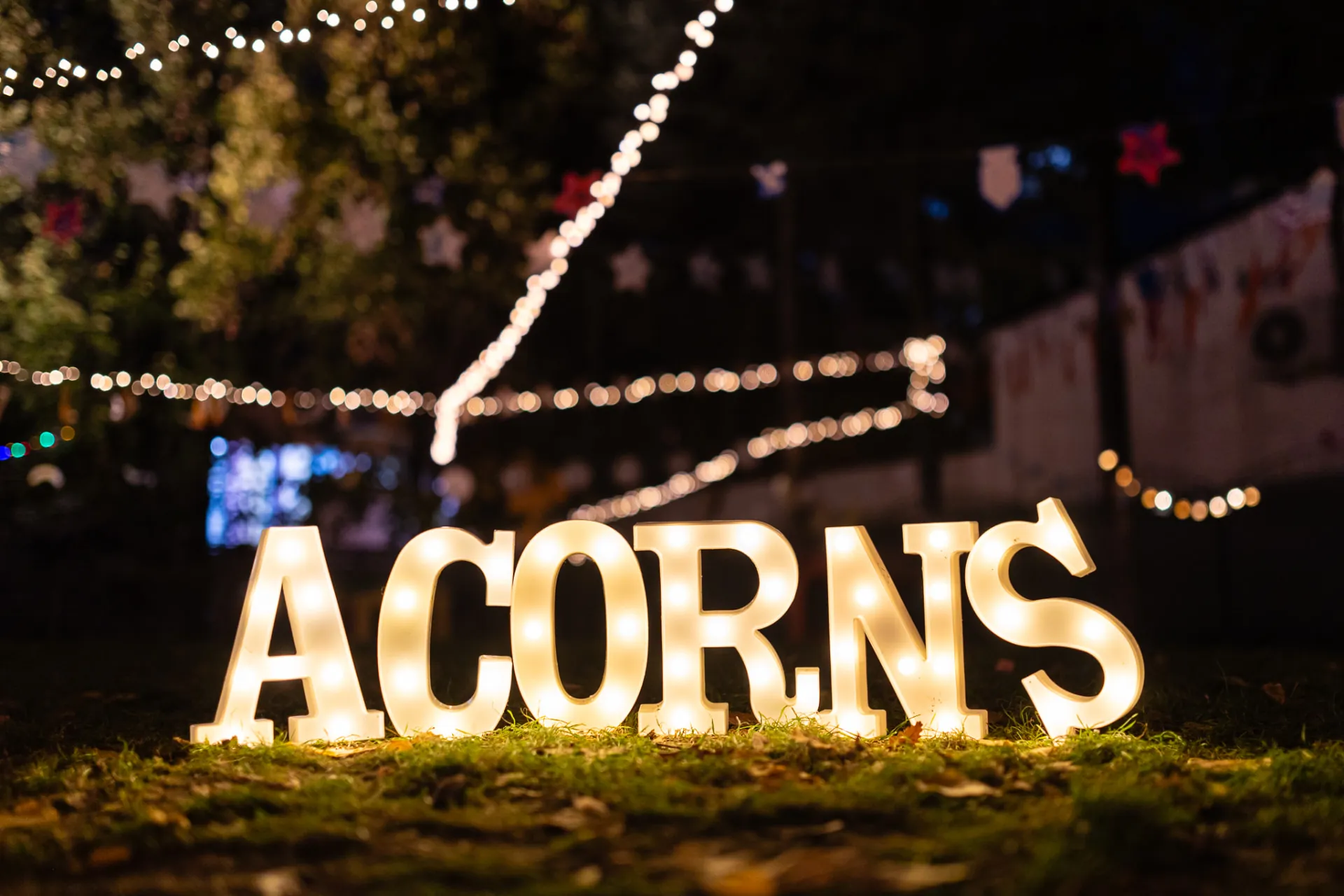 Galerie foto — Acorns Nursery 6