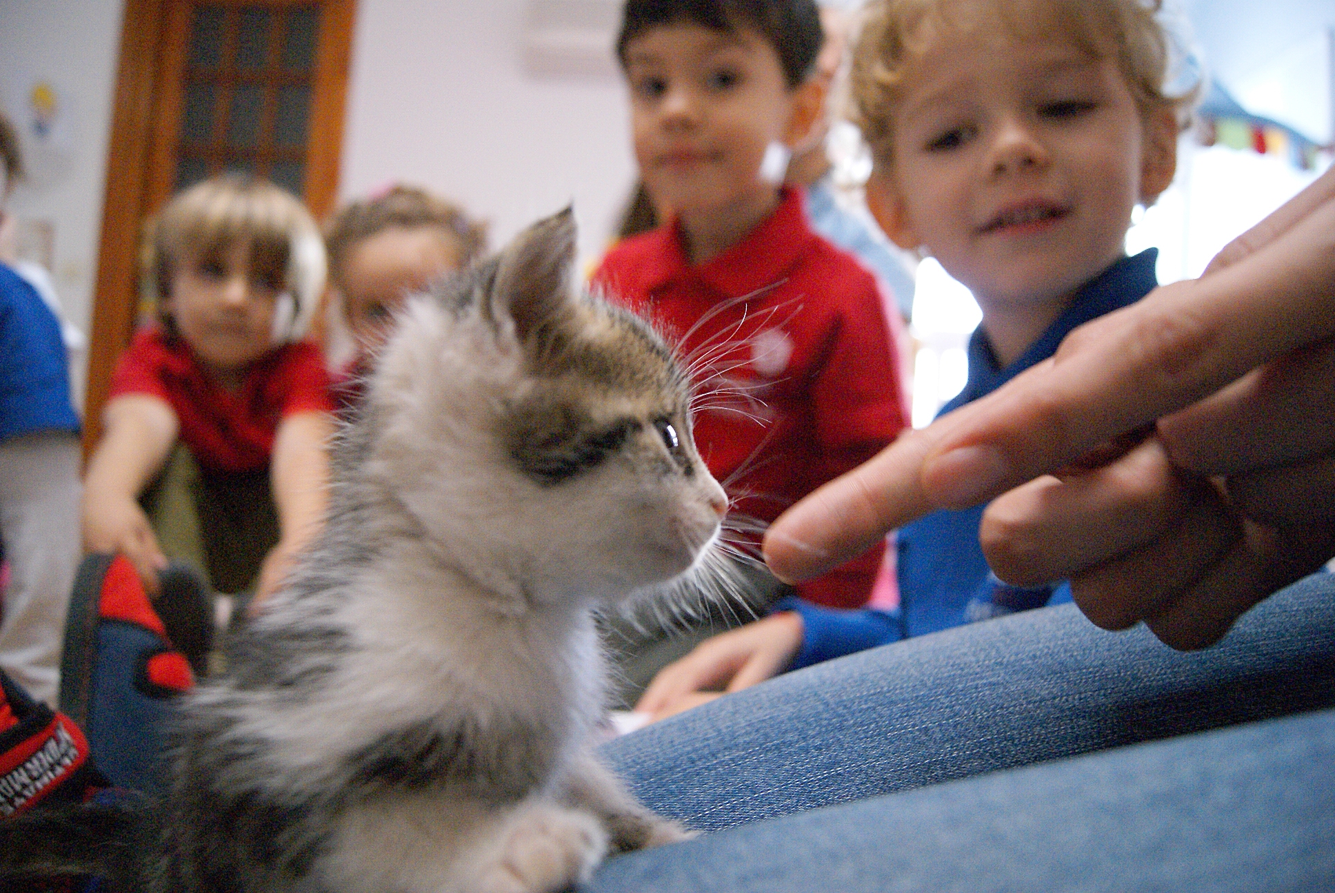 10 moduri în care un animal de companie este benefic copilului tău
