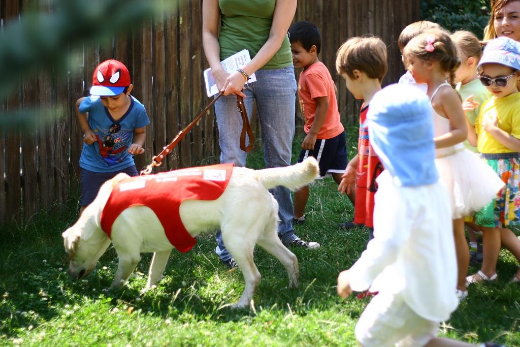 Ziua Mondiala a Animalelor