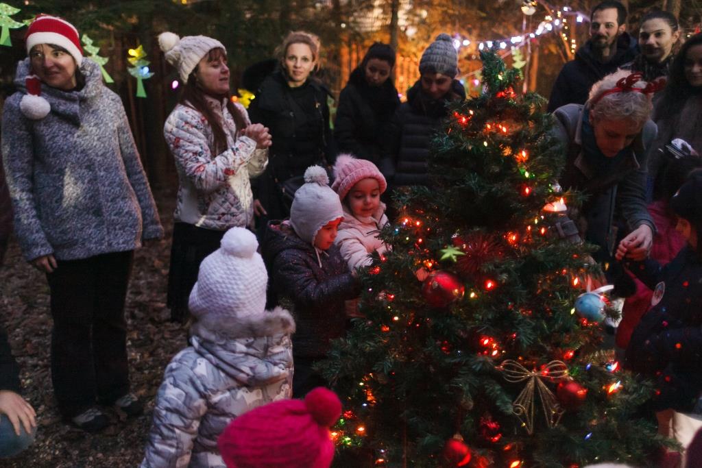 Acorns Christmas Fairs